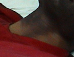 Non FR Protection.jpg